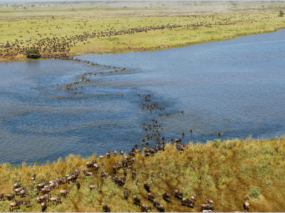 5 Days Lake Naivasha-Masai Mara