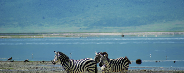 lake-manyara-1-1