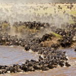 3 days join -in safaris masai mara