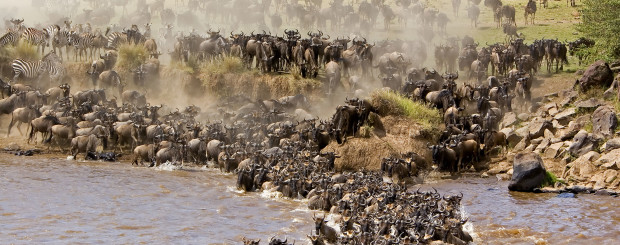 Masai Mara Game Reserve2