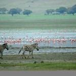 ngorongoro-lake-manyara