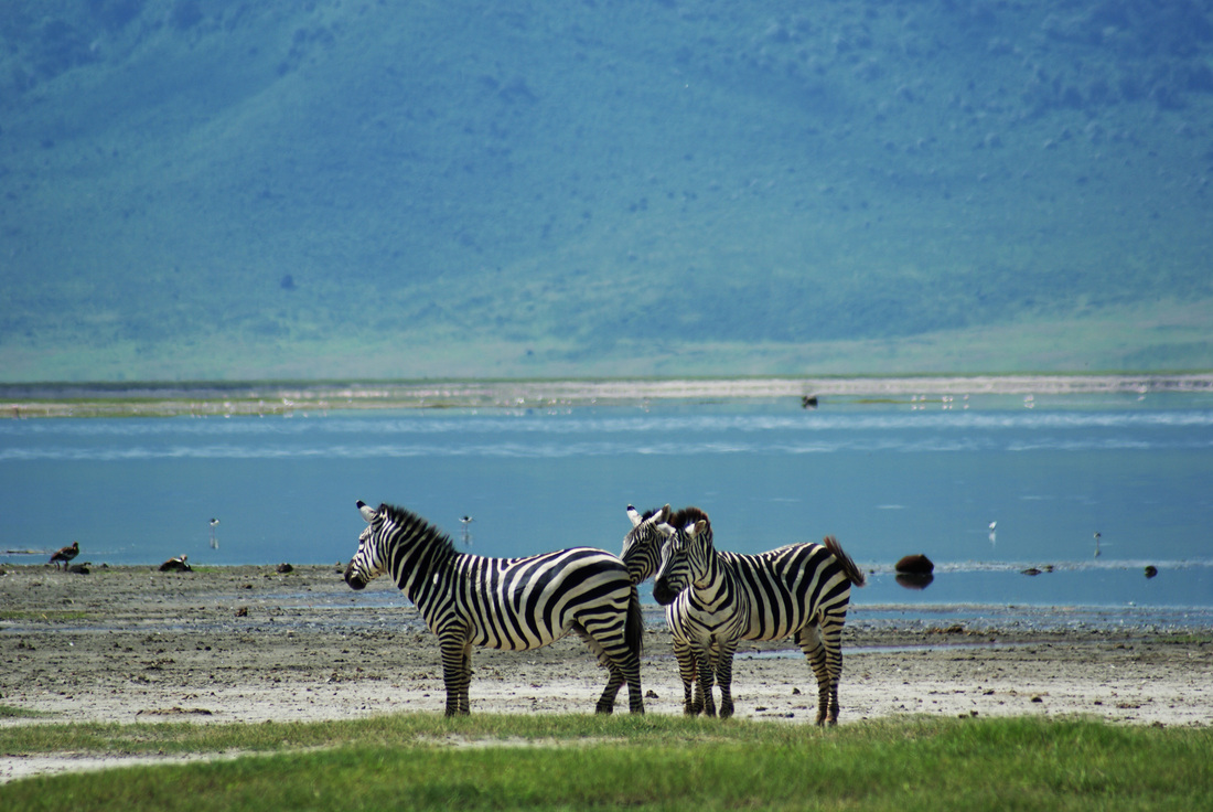 Озеро Маньяра в Танзании